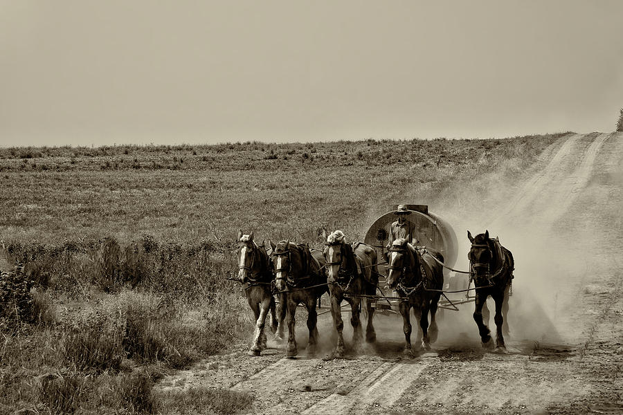 Strasburg Lancaster County - Horse Team in Sepia Photograph by Bill Cannon