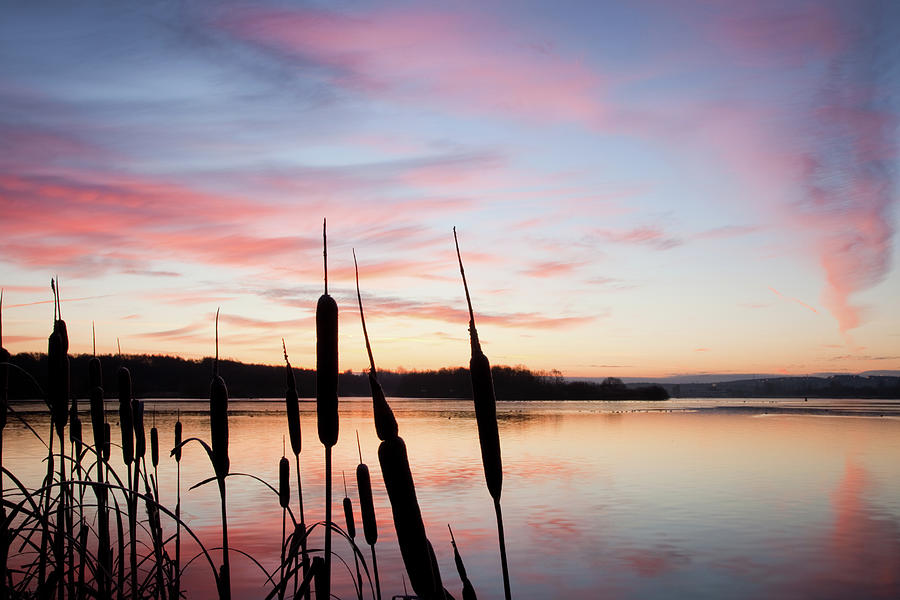 Strathclyde Park At Dawn Photograph by Billy Currie Photography