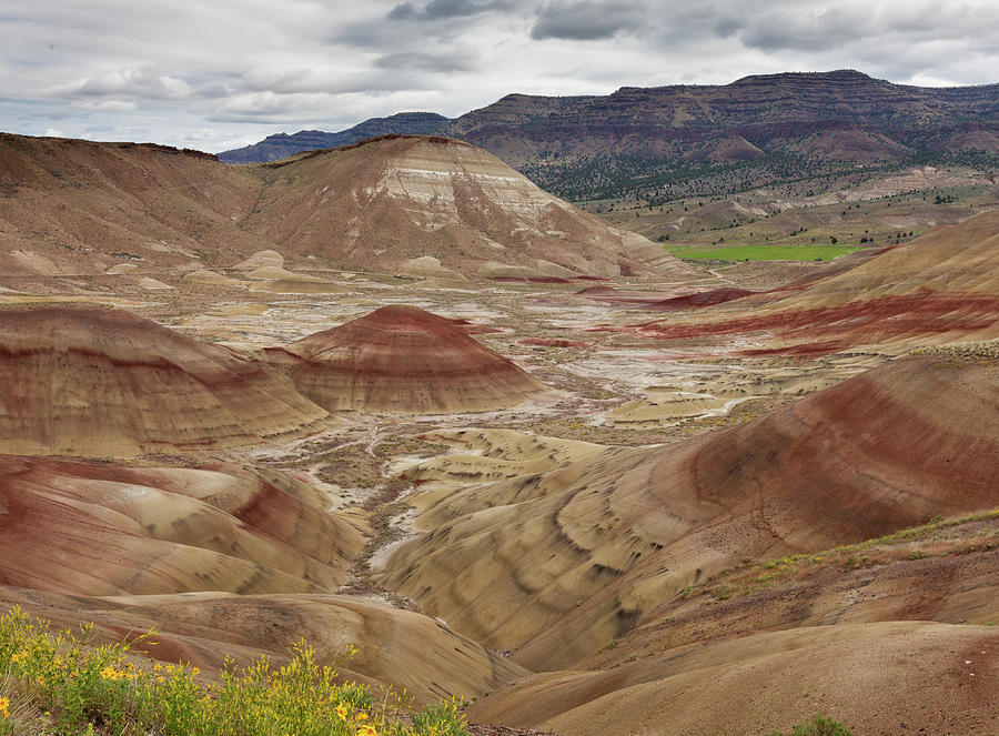 Stratified Hills In Rust And Brown Photograph by Michael Rainwater