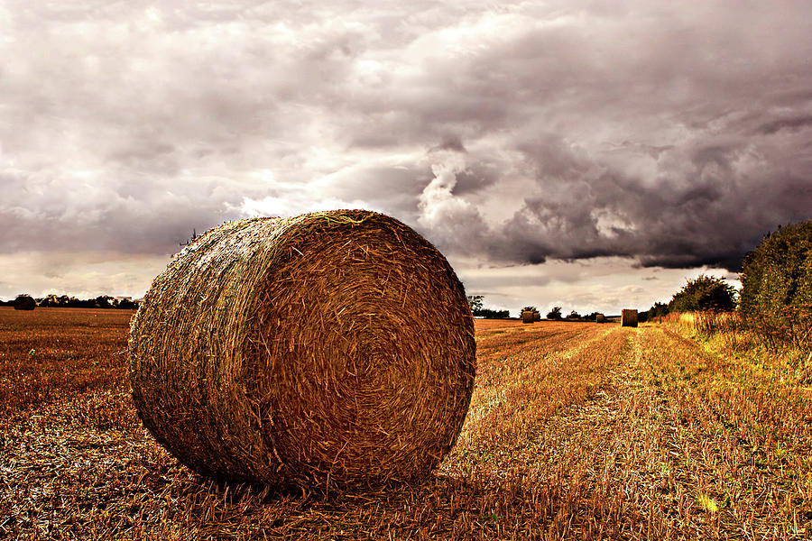 Straw Bale Photograph by Richard Wright Photography