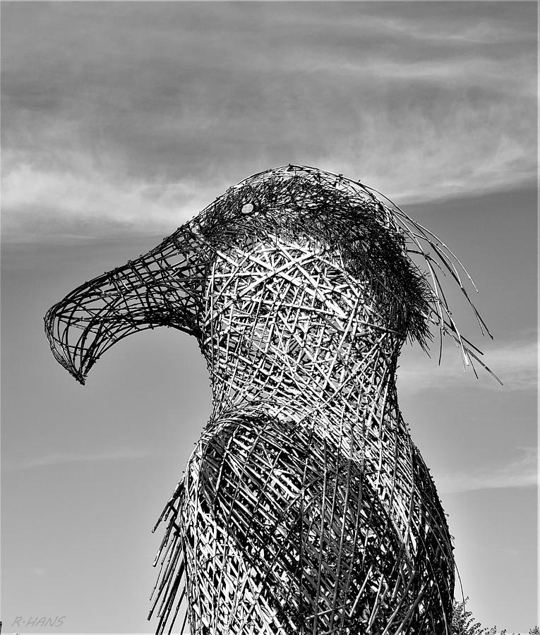 Straw Bird Photograph by Rob Hans