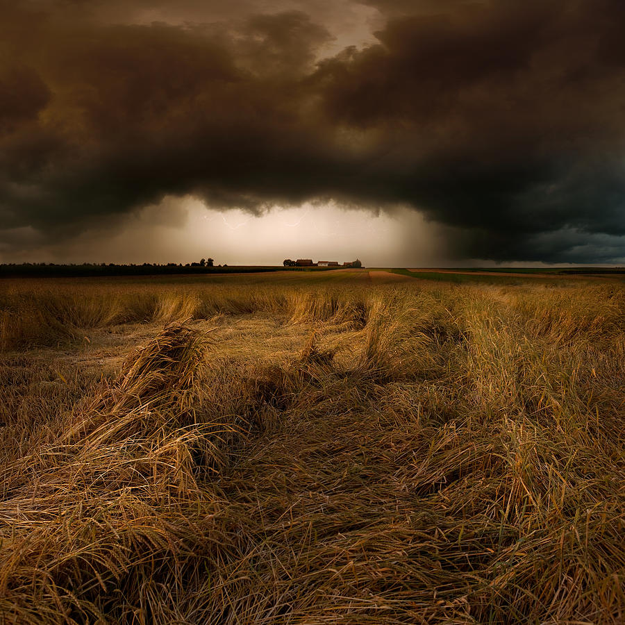 Landscape Photograph - Straw Country by Franz Schumacher