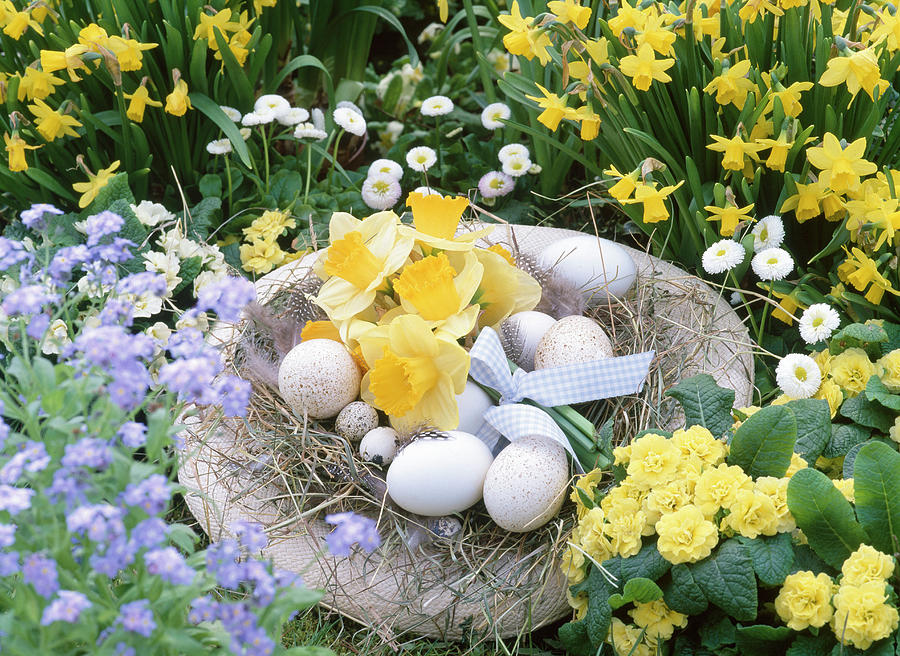 Straw Hat As Easter Basket With Easter Eggs And Bouquet From Narcissus Photograph by Friedrich Strauss