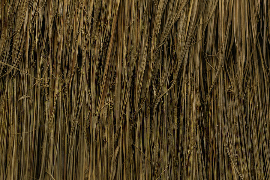 Straw texture  Photograph by Julieta Belmont