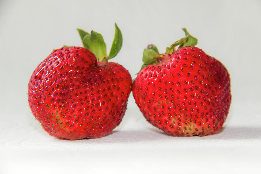 Strawberries 0910 Photograph