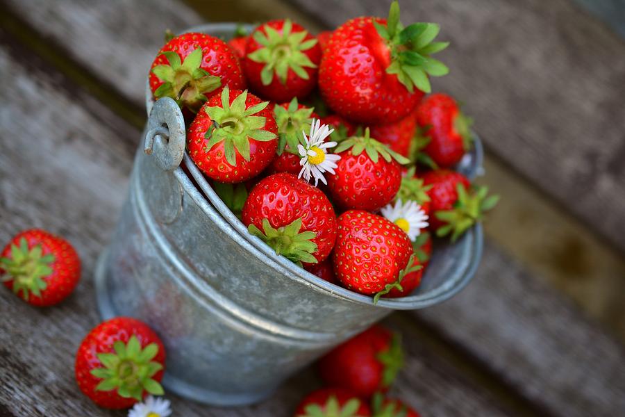Strawberries and daisies Photograph by Top Wallpapers