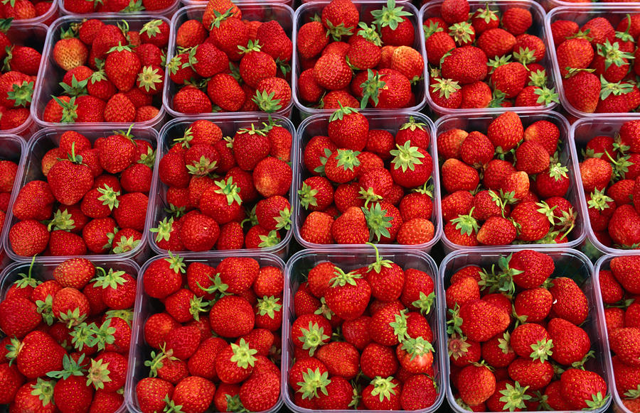 Strawberries For Sale, Bergen, Norway Photograph by Anders Blomqvist