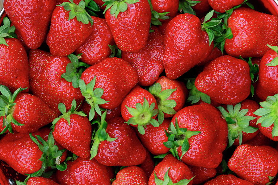 Strawberries In Spring by Kriskasprzak