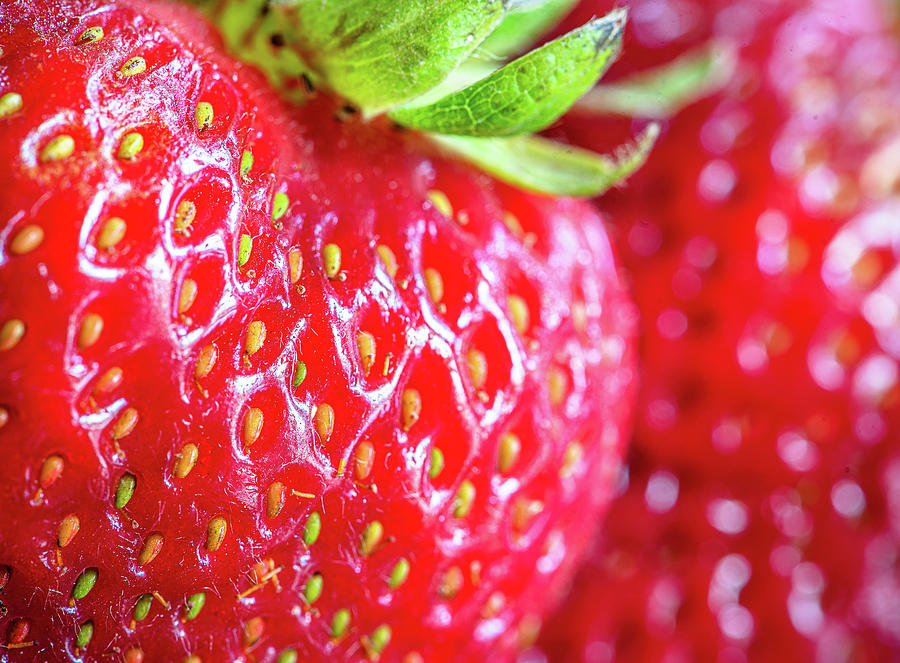 Strawberries Photograph by Lori Rowland