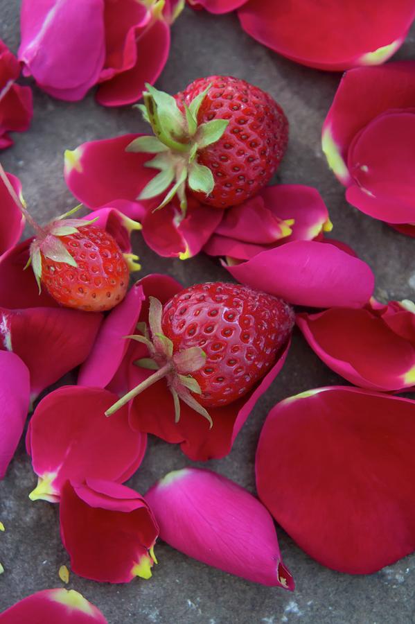 Strawberries On Rose Petals Photograph by Martina Schindler