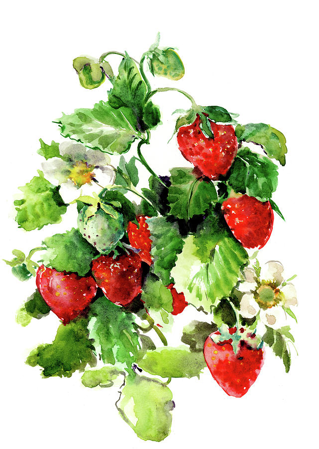 Strawberries Painting by Suren Nersisyan