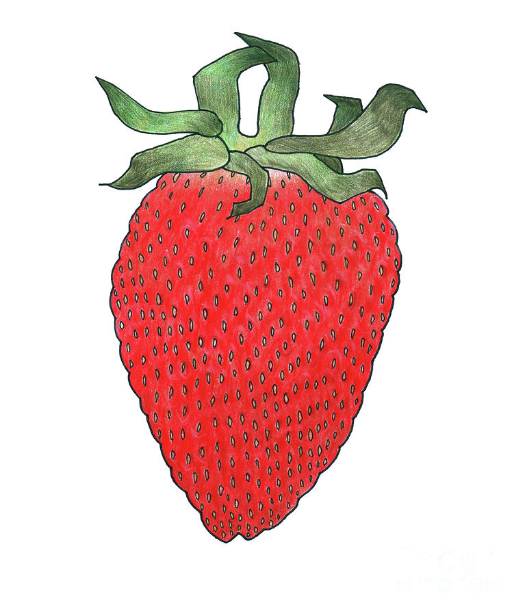 Strawberry 1 Painting by Faisal Khouja