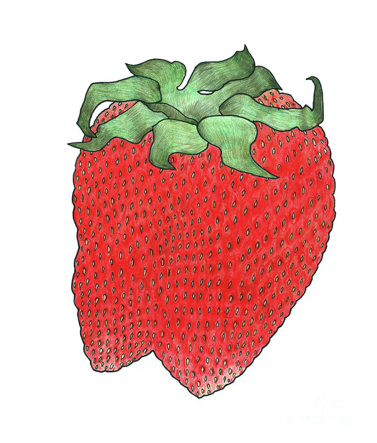 Strawberry 2 Painting by Faisal Khouja