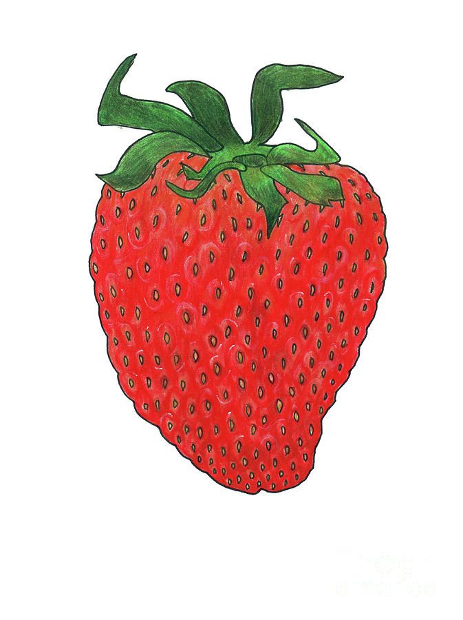 Strawberry 3 Painting by Faisal Khouja