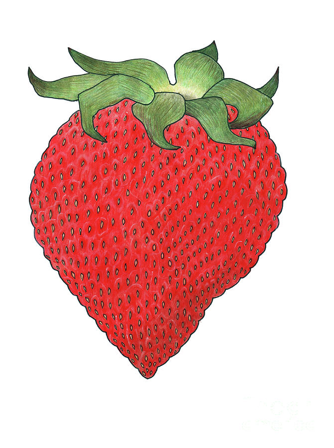 Strawberry 5 Painting by Faisal Khouja