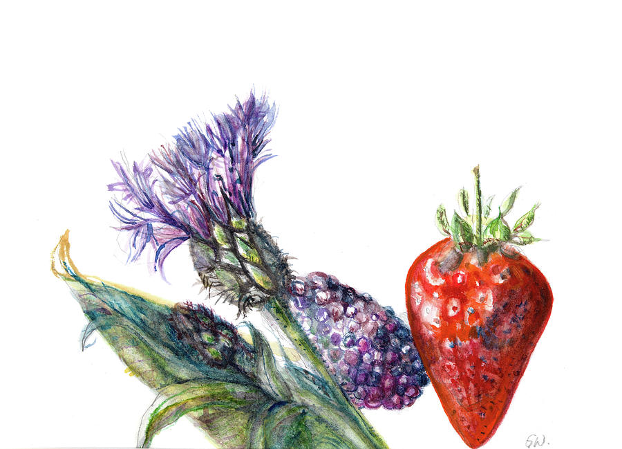 Strawberry, blackberry, Painting by Gloria Newlan