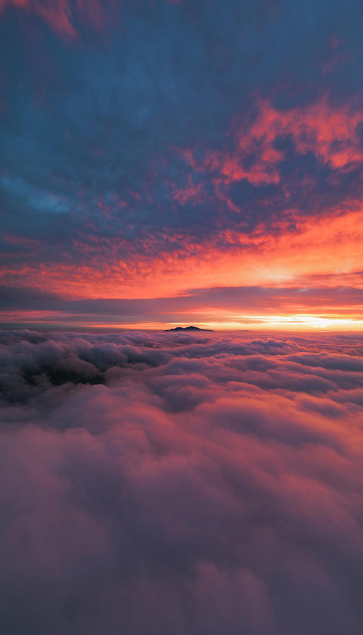 Strawberry Cheesecake, Mount Diablo Photograph by Vincent James