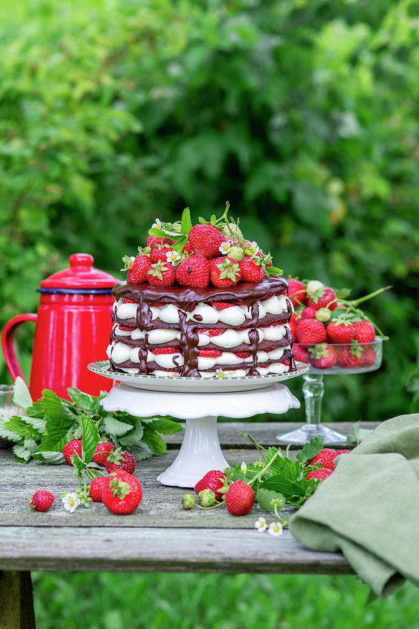 Strawberry Chocolate Cake Photograph by Irina Meliukh