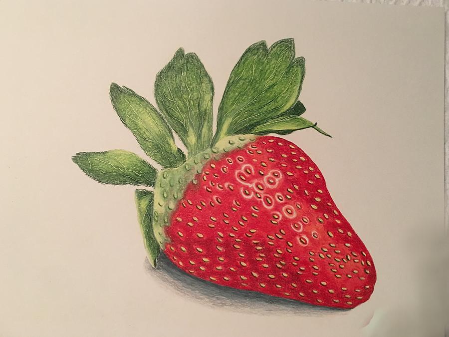 Strawberry Drawing by Colette Lee Fine Art America