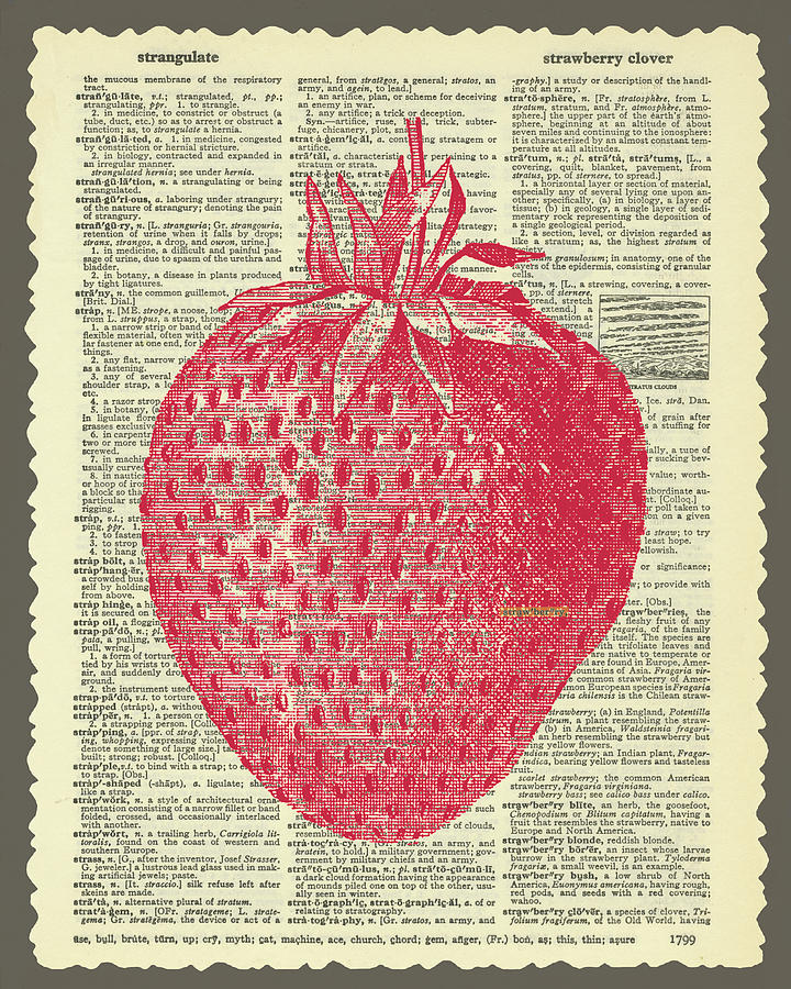 Strawberry Mixed Media - Strawberry by Erin Clark