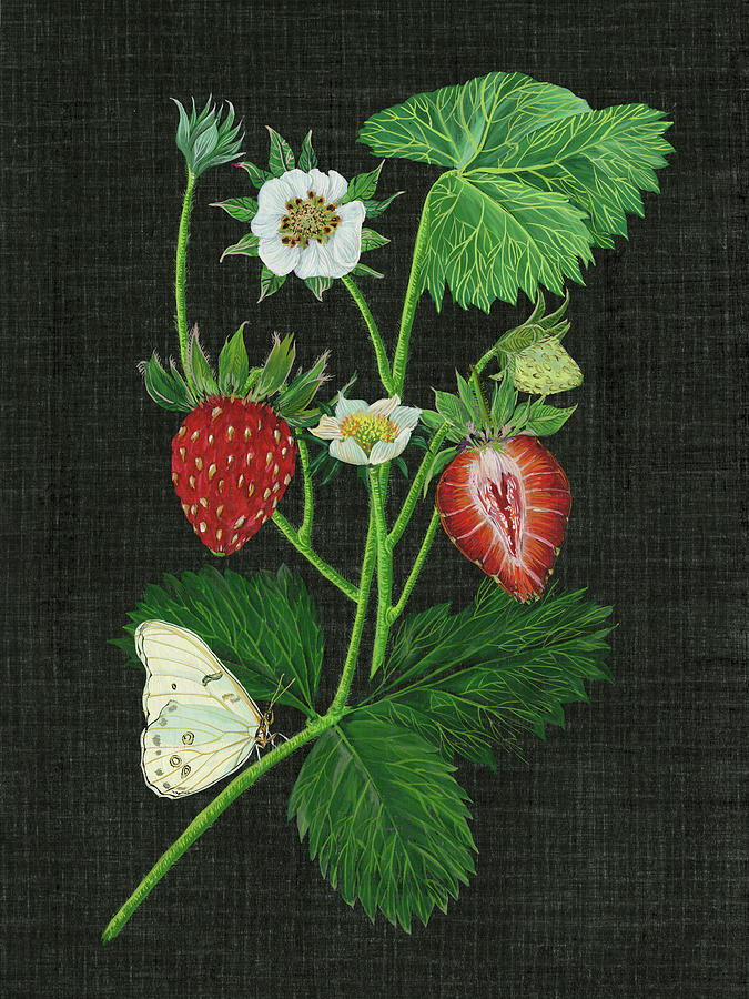 Fruit Painting - Strawberry Fields I by Melissa Wang