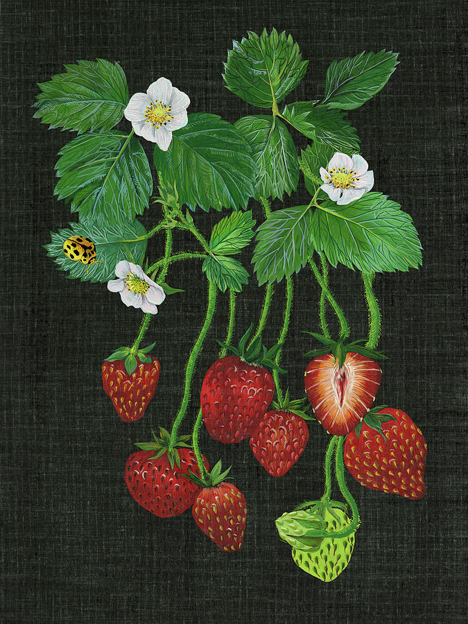 Fruit Painting - Strawberry Fields II by Melissa Wang