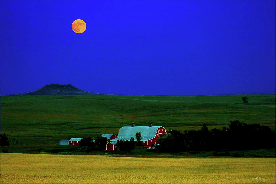Strawberry Moon Photograph by Joseph Noonan