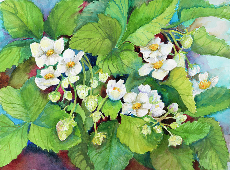Fruit Painting - Strawberry Patch - B. Flowering by Joanne Porter