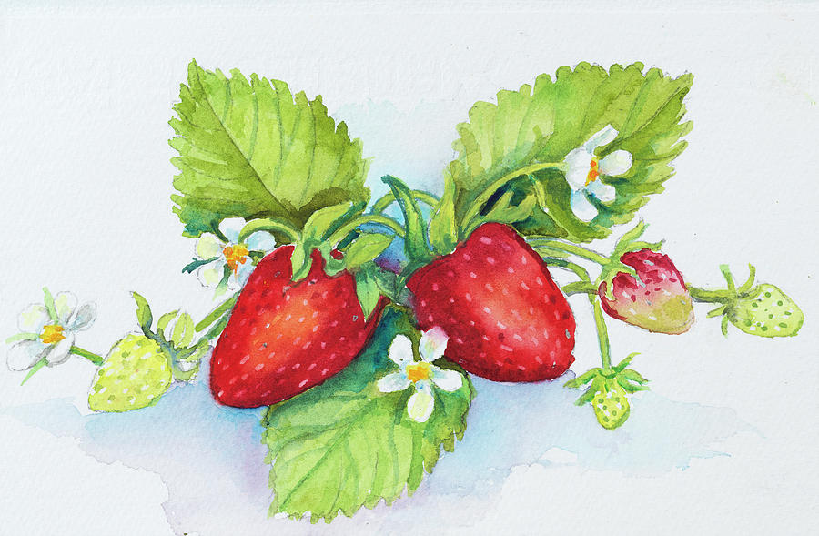 Flower Painting - Strawberry Patch - F. Berry Border by Joanne Porter