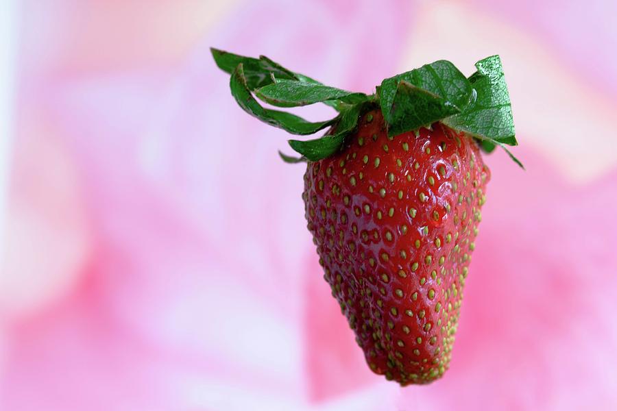 Strawberry Photograph by Silvia Marcoschamer