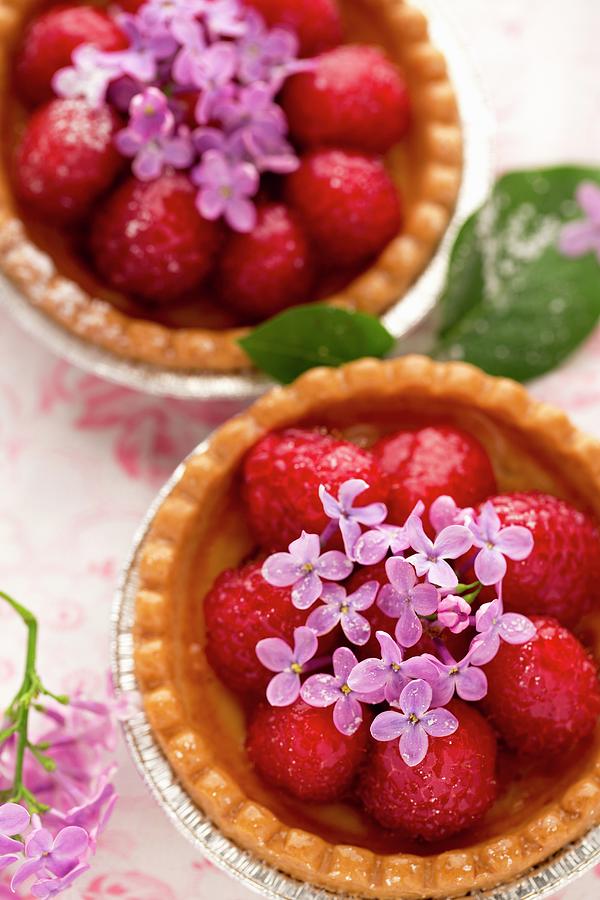 Strawberry Tartlets Decorated With Lilac Blossoms Photograph by Sandra Krimshandl-tauscher