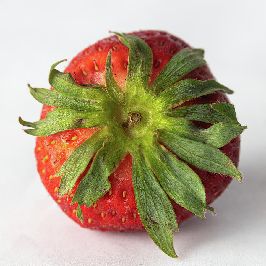 Strawberry Top Photograph by Jason Champaigne - Fine Art America