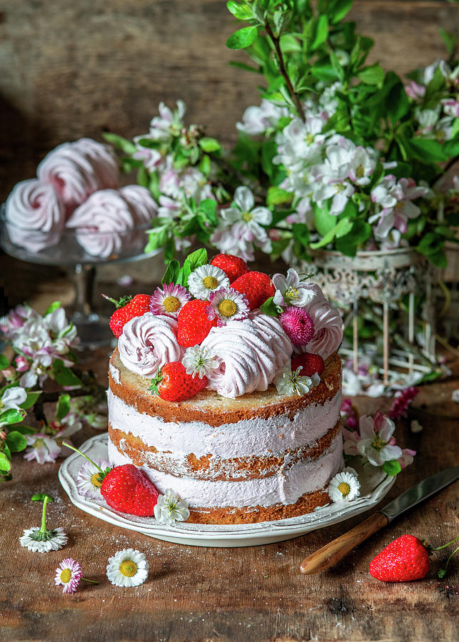 Strawberry Zefir Cake Photograph by Irina Meliukh - Fine Art America