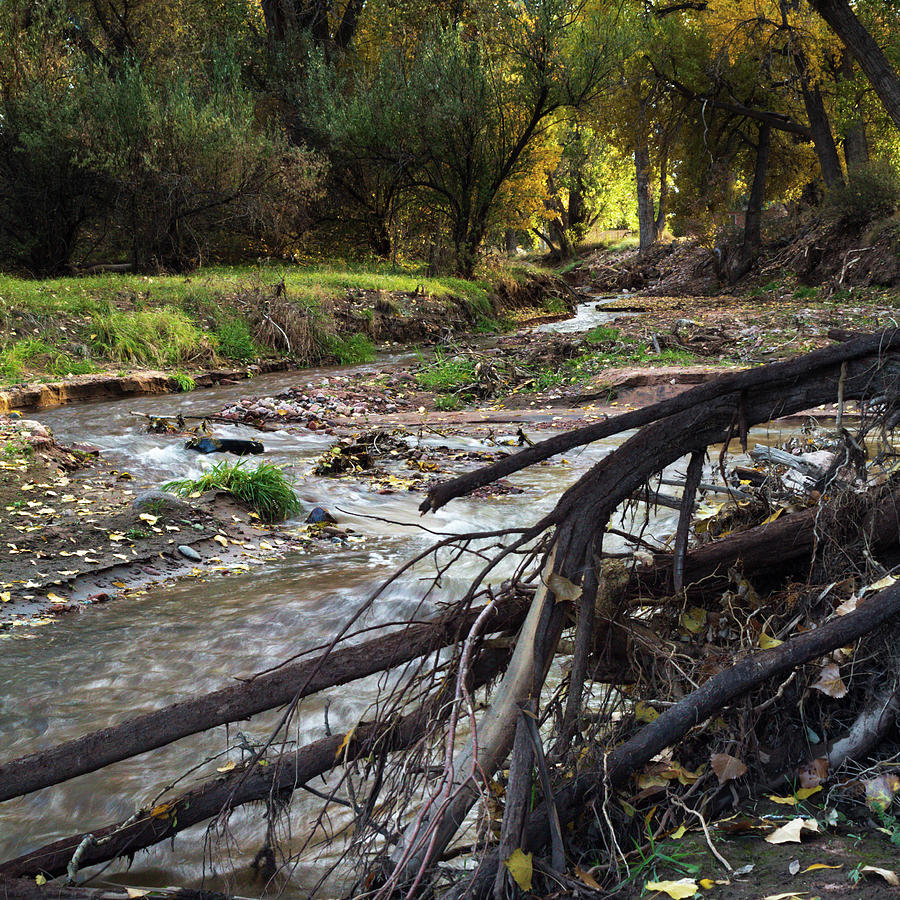 Stream at Pathfinder Park by Bryan Kilzer Stream at Pathfinder Park by Bryan Kilzer