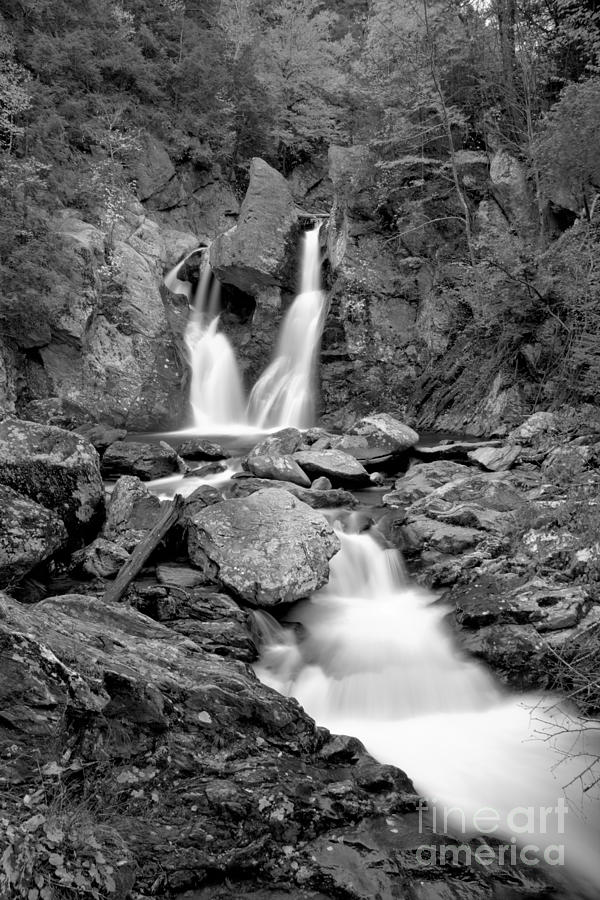 Stream Below Bash Bish Falls Black And White Photograph by Adam Jewell