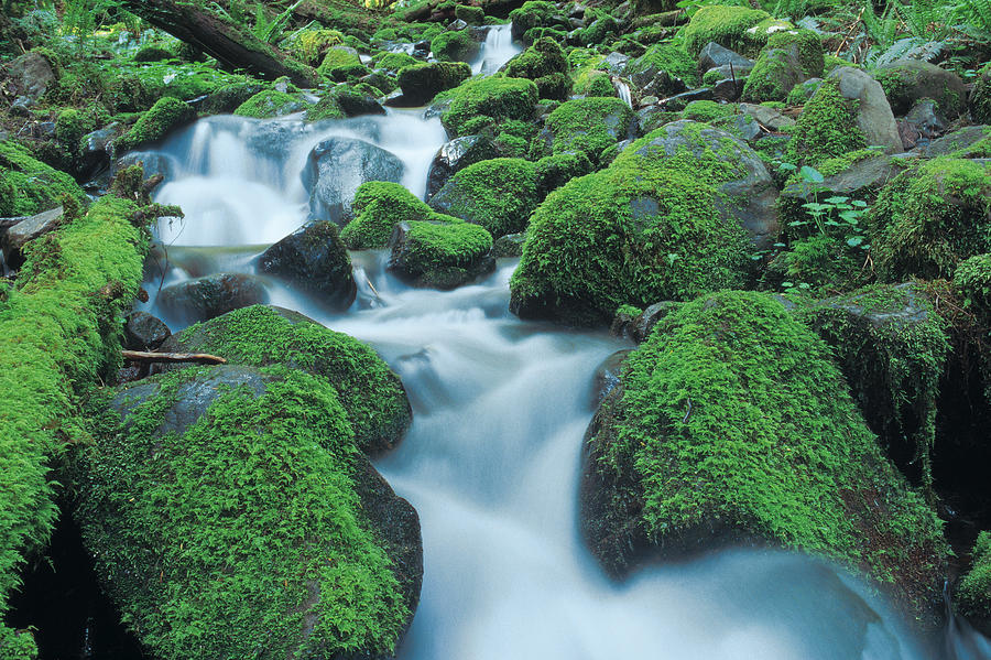 Stream Cascading Over Mossy Rocks In Photograph by Comstock
