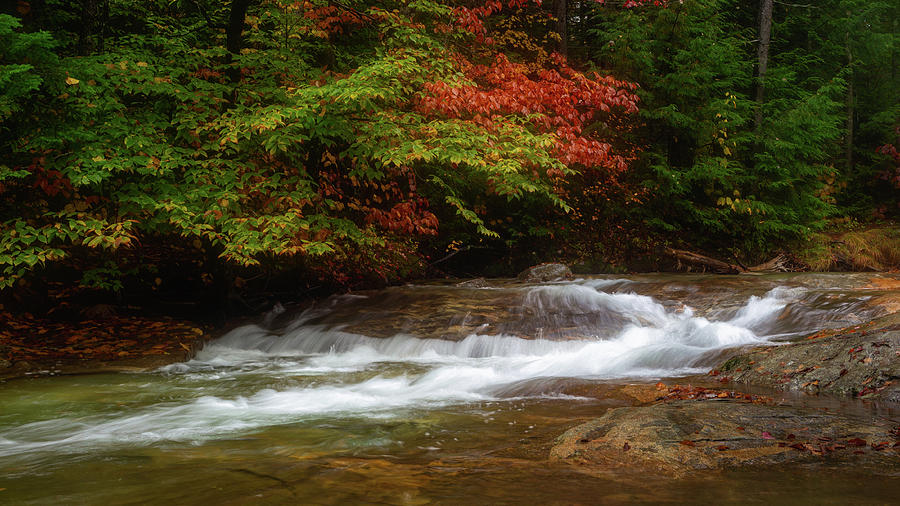 Stream In Franconia Notch State Park Photograph