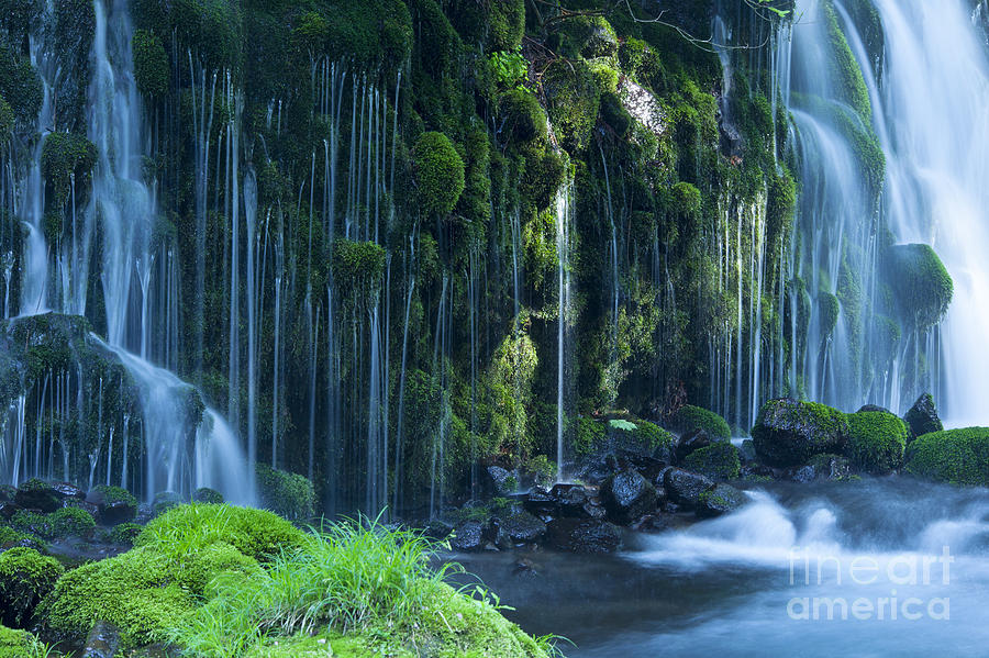 Spring Photograph - Stream In Green Forest by Mp p Spring Photograph - Stream In Green Forest by Mp p