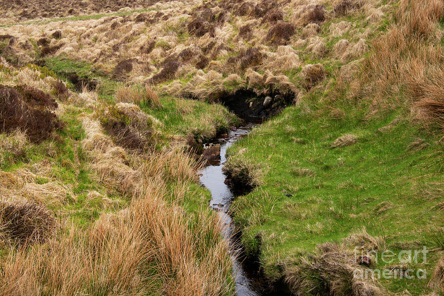 Stream in the Boglands Photograph by Bob Phillips