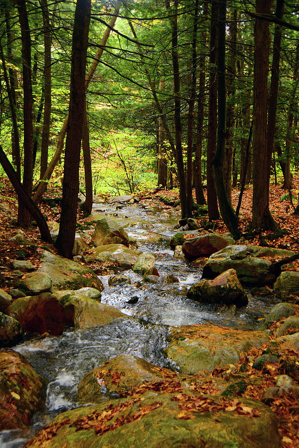 Stream Rages Vertical Format Photograph by Raymond Salani III