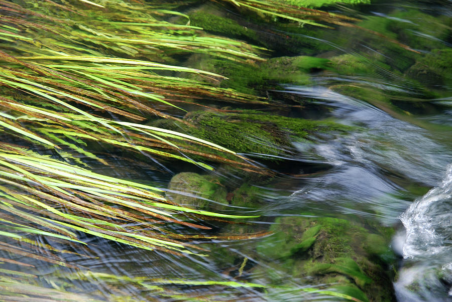 Streaming Water Photograph by Pixelprof