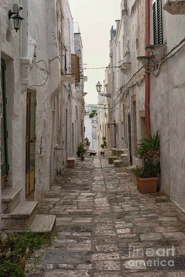 Street and houses in Locorotondo, Puglia Photograph by Patricia Hofmeester