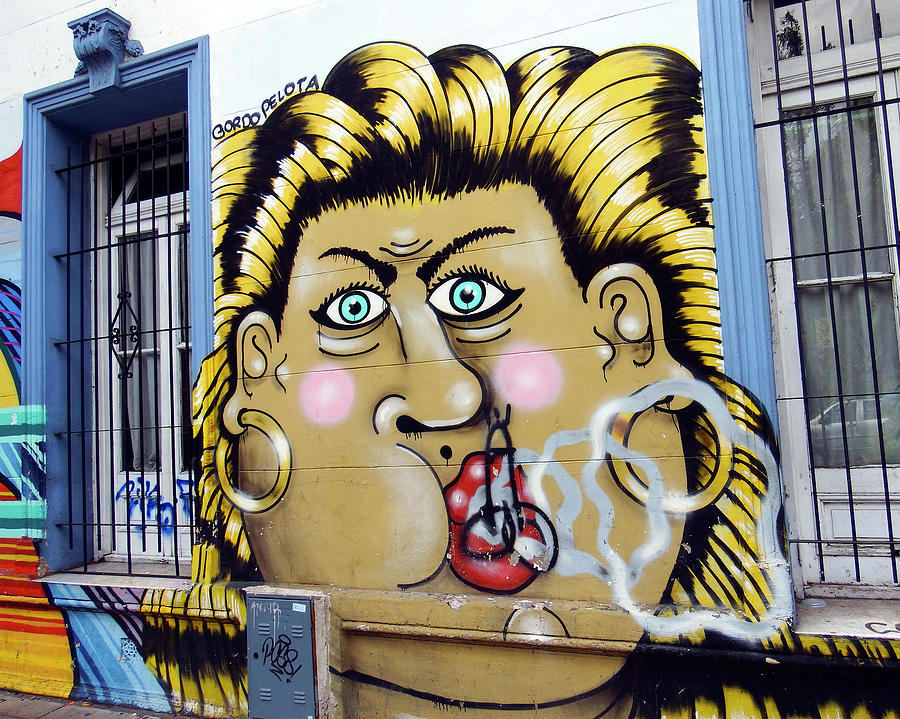 Street Art Buenos Aires 2 Photograph by Kurt Van Wagner
