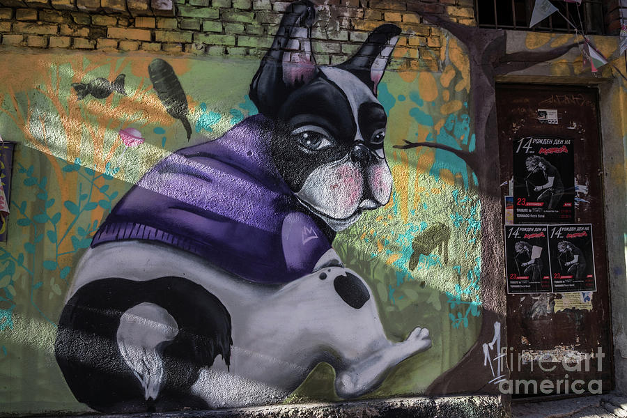 Street Art in Plovdiv Photograph by Eva Lechner