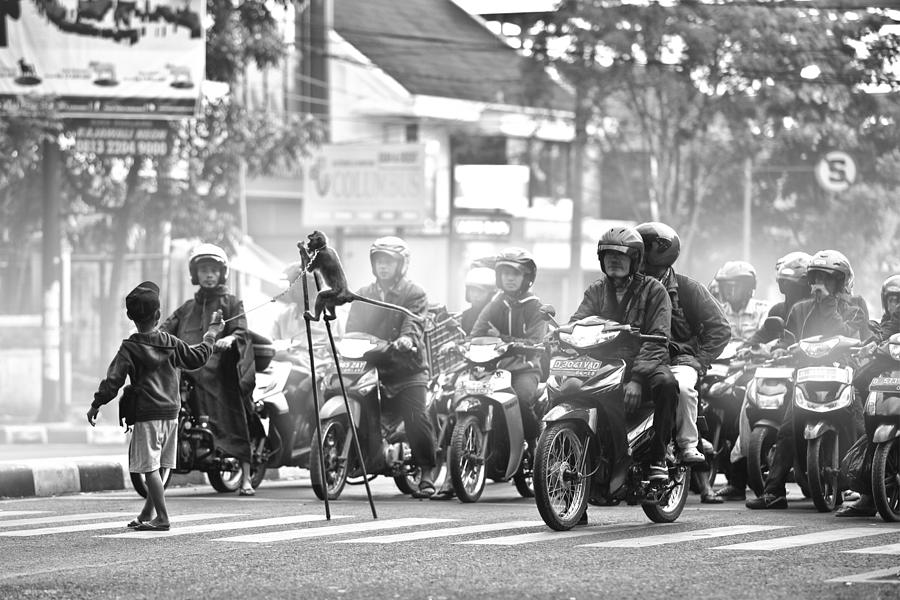 Monkey Photograph - Street Entertainers by Hari Sulistiawan