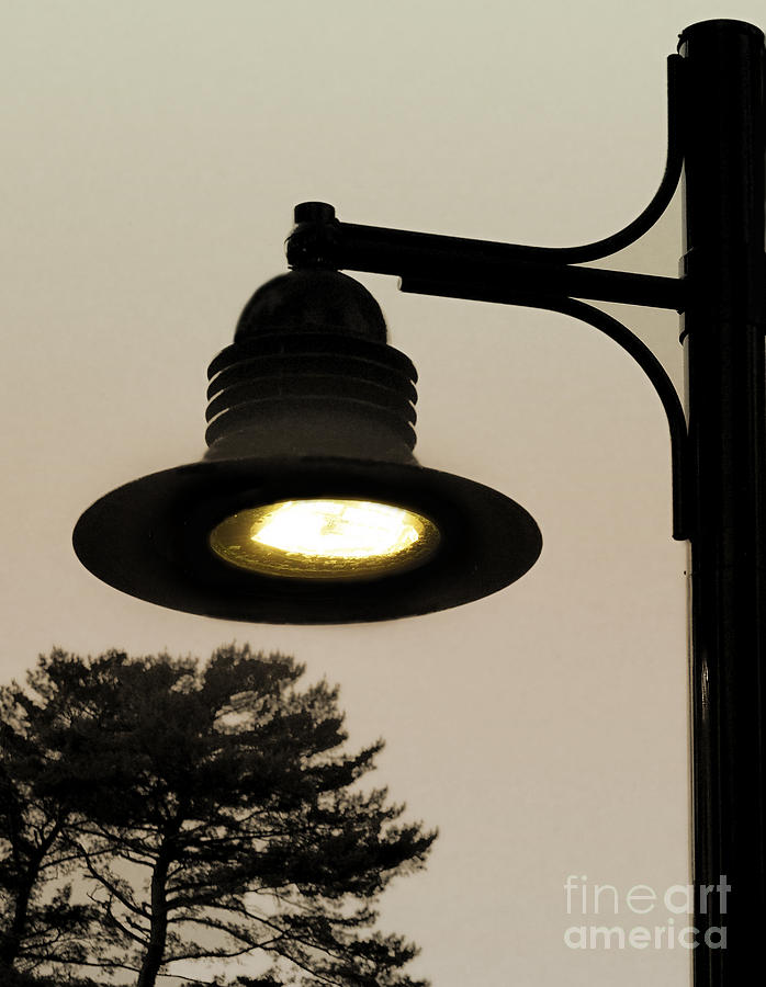 Street Lamp Photograph by Raymond Earley