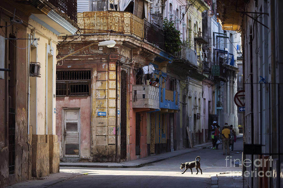 Auto Photograph - Street Of Havana, Cuba by Danm12 Auto Photograph - Street Of Havana, Cuba by Danm12