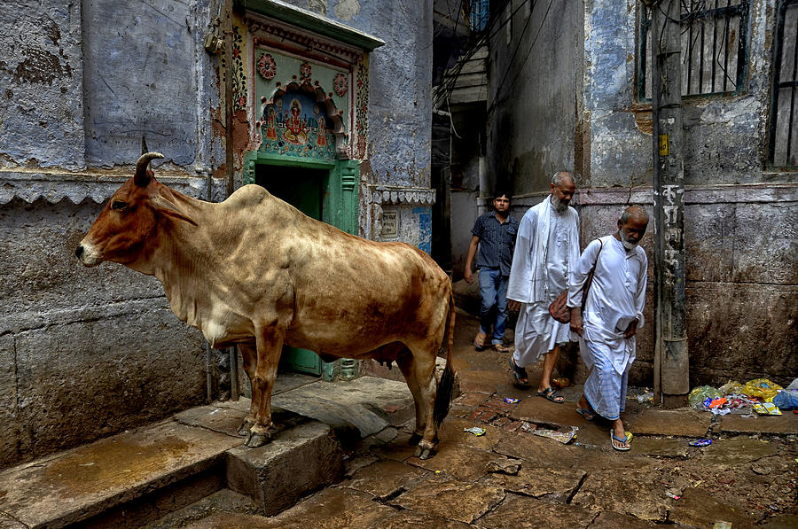 Street Of Varanasi Photograph by Avishek Das