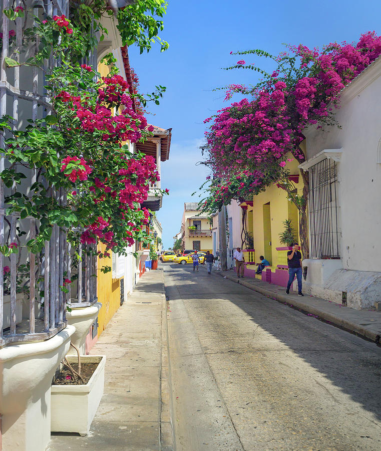 Street Scene, Cartagena, Colombia Digital Art by Claudia Uripos