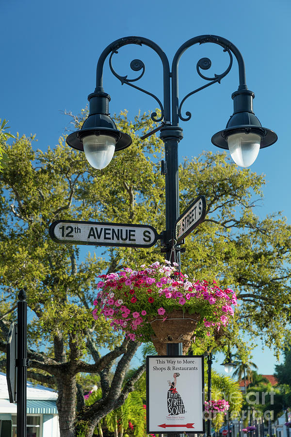 Street Signs and Flowers Naples Florida Photograph by Brian Jannsen